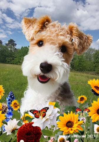 Wire Fox Terrier - Best of Breed  Summer Fields Outdoor House and Garden Flag