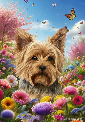 Yorkie Puppy Cut - Best of Breed  Spring Butterflies Outdoor House and Garden Flag