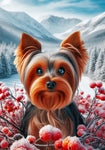 Yorkie Puppy Cut - Best of Breed DCR Winter Berries Outdoor House and Garden Flag