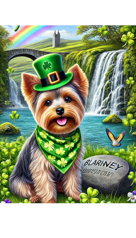 Yorkie Puppy Cut - Best of Breed DCR Saint Patricks Day Day Outdoor House and Garden Flag