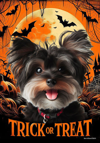 Yorkiepoo Black- Best of Breed  Halloween Outdoor House and Garden Flag