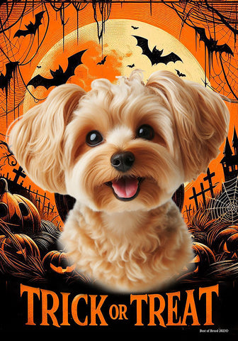 Yorkiepoo Gold - Best of Breed  Halloween Outdoor House and Garden Flag