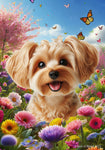 Yorkiepoo Gold - Best of Breed  Spring Butterflies Outdoor House and Garden Flag