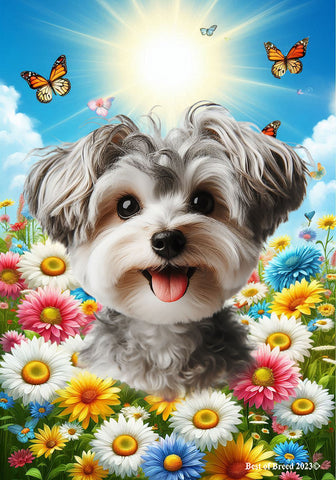 Yorkiepoo Silver -  Best of Breed  Summer Butterflies Outdoor House and Garden Flag