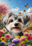 Yorkiepoo Silver -  Best of Breed  Spring Butterflies Outdoor House and Garden Flag