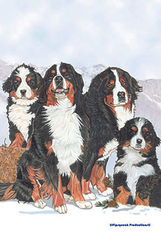 Bernese - Best of Breed Pipsqueak Productions Outdoor Flag