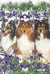 Shelties - Best of Breed Pipsqueak Productions Outdoor Flag