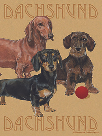 Dachsunds - Best of Breed Pipsqueak Productions Outdoor Flag