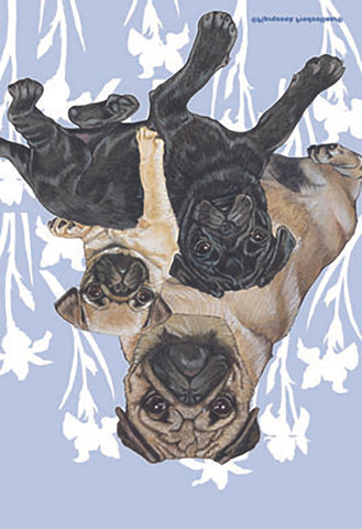 Pugs - Best of Breed Pipsqueak Productions Outdoor Flag