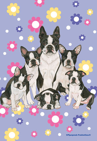 Boston Terrier - Best of Breed Pipsqueak Productions Outdoor Flag