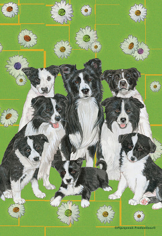 Border Collies - Best of Breed Pipsqueak Productions Outdoor Flag