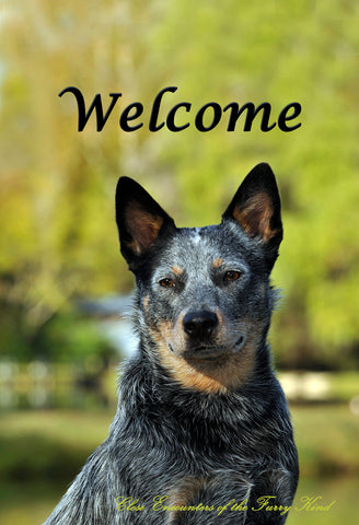 Australian Cattle Dog - Close Encounters of the Furry Kind Welcome  House and Garden Flags