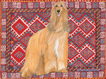 Afghan - Best of Breed Dog Breed Fleece Blanket