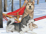 Alaskan Malamute - Best of Breed Dog Breed Fleece Blanket