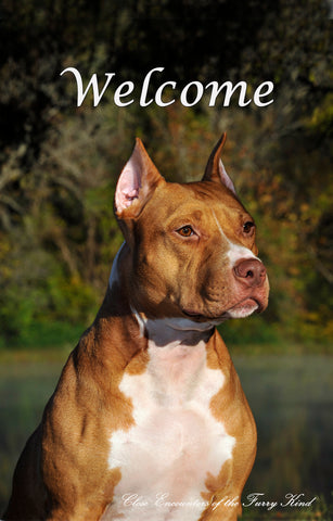 American Staffordshire - Close Encounters of the Furry Kind Welcome  House and Garden Flags