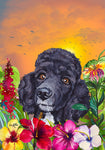 Poodle Black - Hippie Hound Studios Tropical Summer  House and Garden Flags
