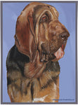 Bloodhound - Best of Breed Dog Breed Fleece Blanket
