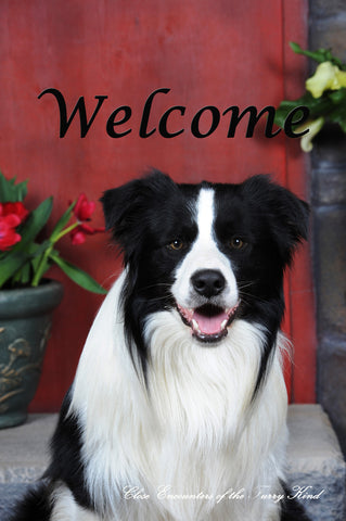 Border Collie - Close Encounters of the Furry Kind Welcome  House and Garden Flags
