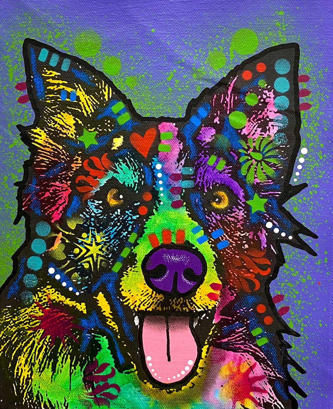 Border Collie
