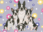 Boston Terrier - Best of Breed Dog Breed Fleece Blanket