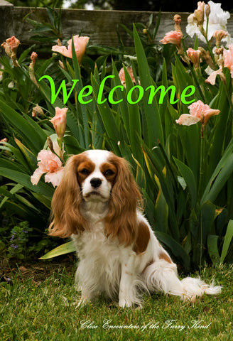 Cavalier King Charles Blenheim - Close Encounters of the Furry Kind Welcome  House and Garden Flags