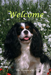 Cavalier King Charles Tri - Close Encounters of the Furry Kind Welcome  House and Garden Flags