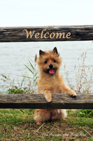 Cairn Terrier - Close Encounters of the Furry Kind Welcome  House and Garden Flags