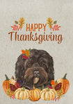 Cavapoo - Hippie Hound Studio Best of Breed Thanksgiving House and Garden Flag