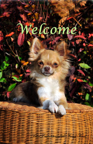 Chihuahua Longhaired - Close Encounters of the Furry Kind Welcome  House and Garden Flags