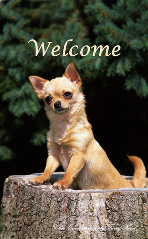 Chihuahua Smooth - Close Encounters of the Furry Kind Welcome  House and Garden Flags