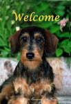 Dachshund Wirehaired - Close Encounters of the Furry Kind Welcome  House and Garden Flags