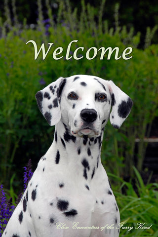 Dalmatian - Close Encounters of the Furry Kind Welcome  House and Garden Flags