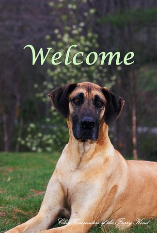 Great Dane Fawn Uncropped - Close Encounters of the Furry Kind Welcome  House and Garden Flags