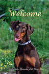 Doberman Uncropped - Close Encounters of the Furry Kind Welcome  House and Garden Flags