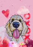 Goldendoodle  - Hippie Hound Studios Valentines  House and Garden Flags