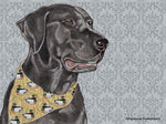 Black Labrador - Best of Breed Dog Breed Fleece Blanket