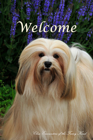 Lhasa Apso - Close Encounters of the Furry Kind Welcome  House and Garden Flags
