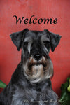Schnauzer Uncropped - Close Encounters of the Furry Kind Welcome  House and Garden Flags