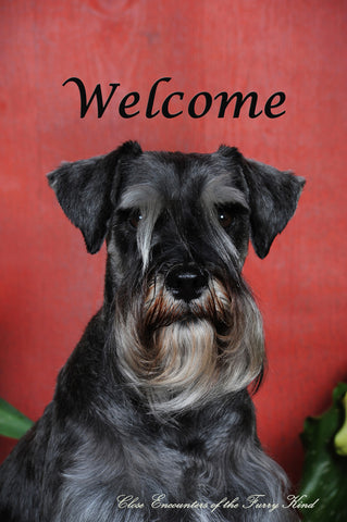 Schnauzer Uncropped - Close Encounters of the Furry Kind Welcome  House and Garden Flags