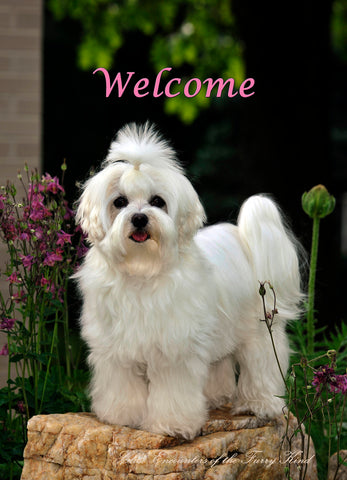 Maltese - Close Encounters of the Furry Kind Welcome  House and Garden Flags