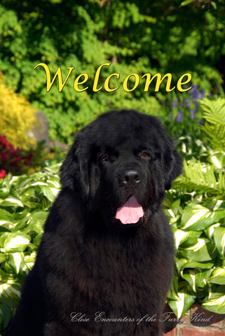 Newfoundland - Close Encounters of the Furry Kind Welcome  House and Garden Flags