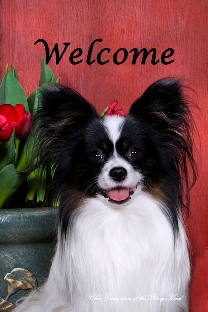 Papillon - Close Encounters of the Furry Kind Welcome  House and Garden Flags