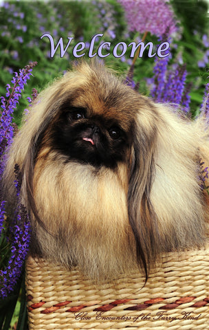 Pekingese - Close Encounters of the Furry Kind Welcome  House and Garden Flags