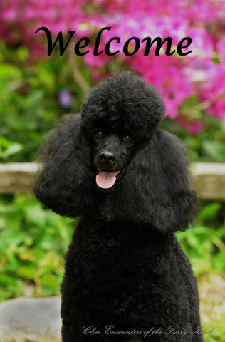 Poodle Black - Close Encounters of the Furry Kind Welcome  House and Garden Flags