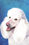 Poodle White - Best of Breed Outdoor Portrait Flag