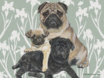 Pugs - Best of Breed Dog Breed Fleece Blanket