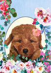 Cavapoo Red - Hippie Hound Studios Spring  House and Garden Flags