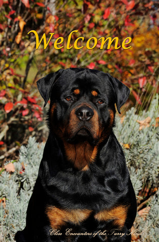Rottweiler - Close Encounters of the Furry Kind Welcome  House and Garden Flags