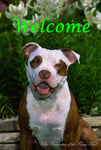 American Pit Bull - Close Encounters of the Furry Kind Welcome  House and Garden Flags