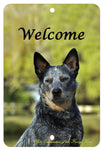 Australian Cattle Dog - Best of Breed Indoor/Outdoor Aluminum Sign 8" x 12"